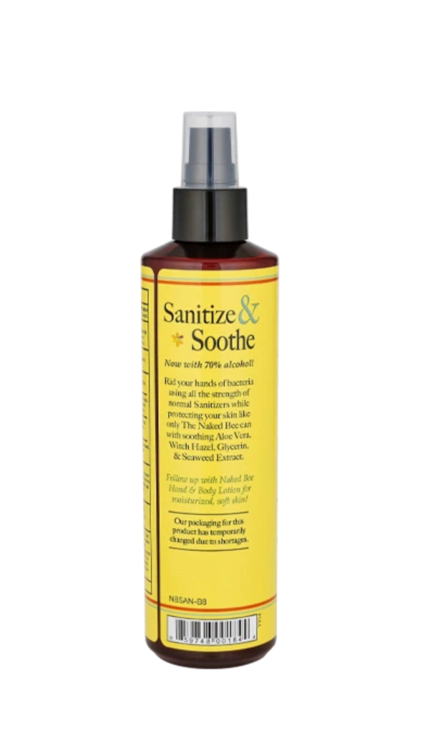 Hand Sanitizer Large Spritzer