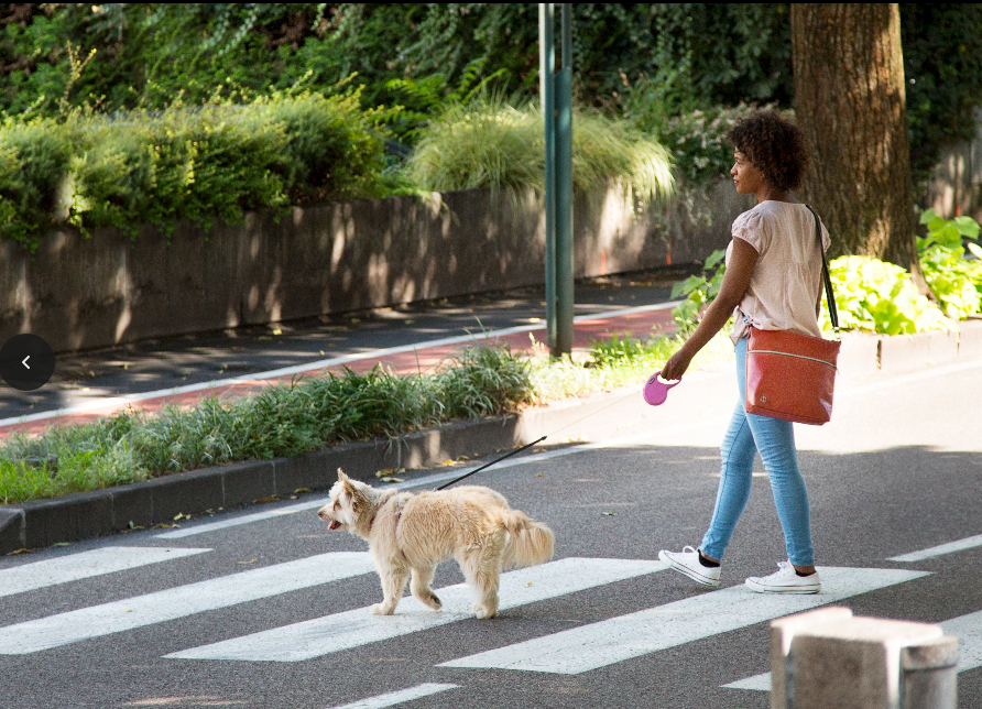 Wildcard Studio Bag - S