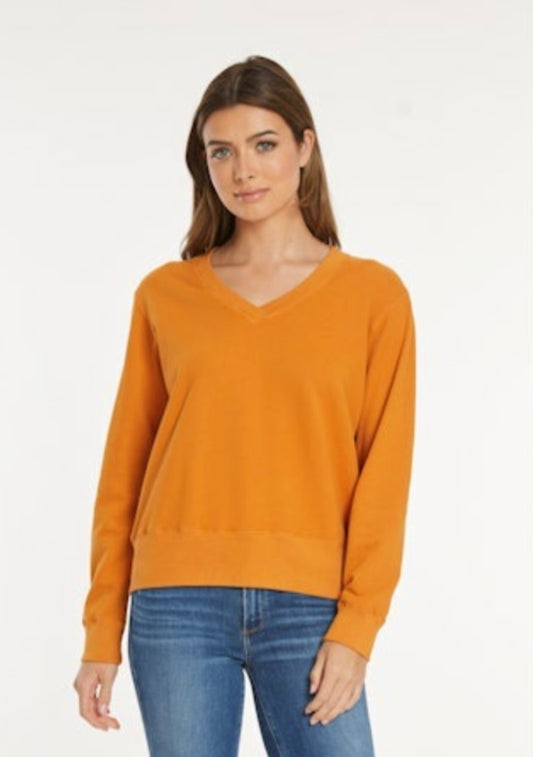 Deep VNeck Shirt