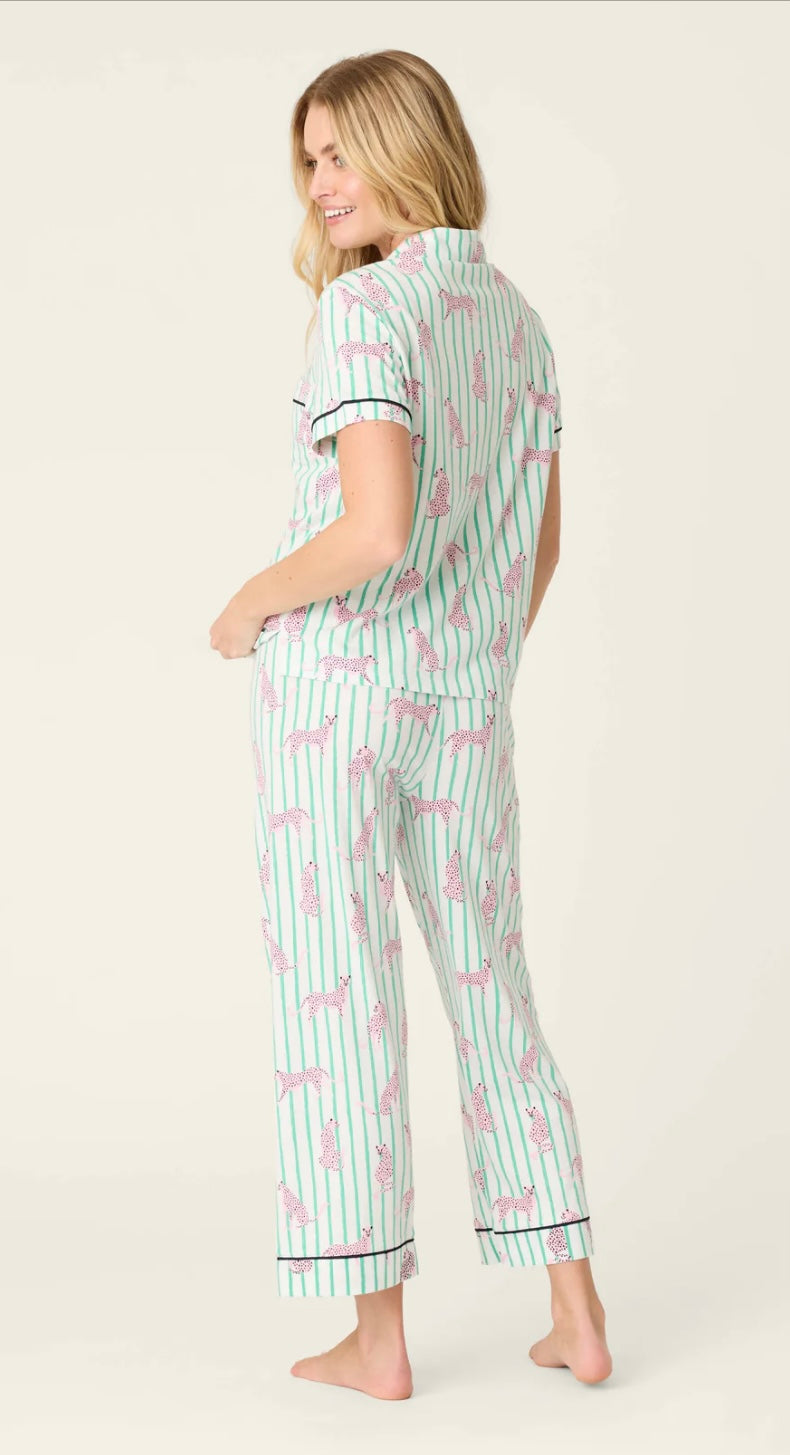 PJ Set Whimsy